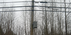 Distribution wireline