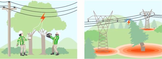 Power Line Tree Sensor Planting & logging near Rights of Way