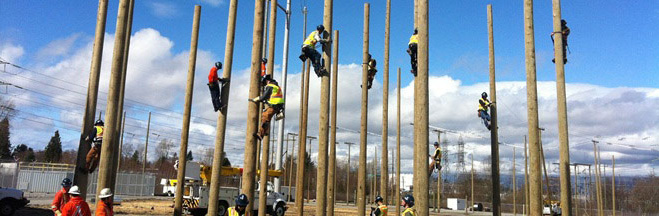 Image of BC Hydro PLT Apprentice climbing power poles as a training exercise